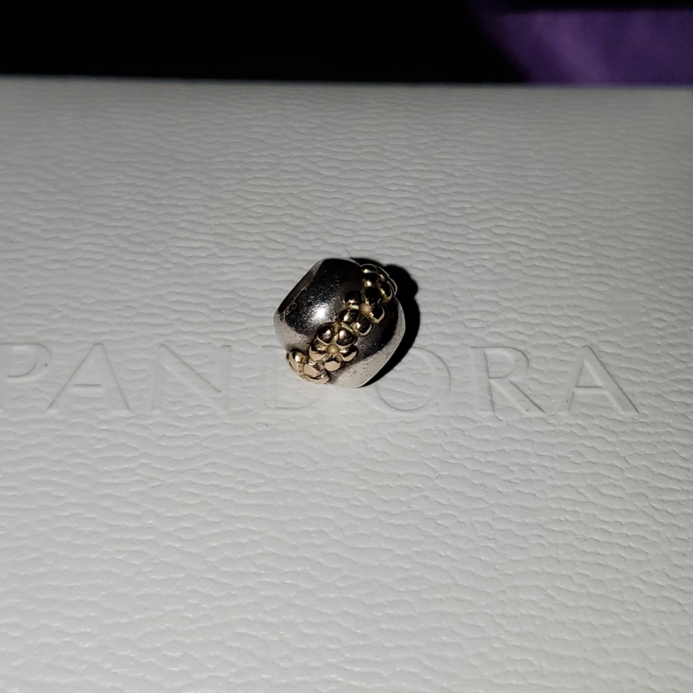 Authentic Pandora bracelet - Picture 13 of 15